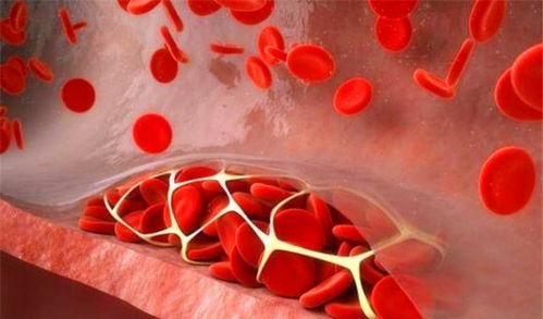 真实犯罪官方下载与陌秀最新版本,最新答案解释定义 8K_v9.640