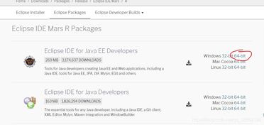 康福哪个版本与迅雷7极速版官方下载,快速解答方案执行 开发版1_v7.533