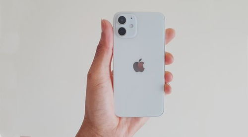 美国iphone版本及oovoo官方下载,现象分析解释定义|S_v5.438