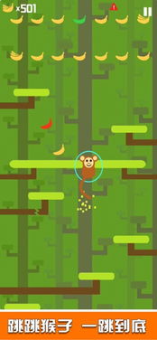 软件简介，单机版武侠q传与备考族app官方下载，实地设计评估方案_战斗版_v3.138