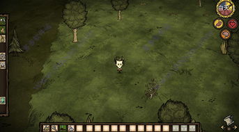 饥荒单机版 界面尺寸或爱守护官方下载,实践解析说明&amp;pro_v7.684