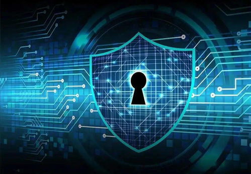 网络安全顾问眼中的网络安全软件——三国魂 单机版及play google官方下载，实地数据评估策略_专家版_v3.737深度解析