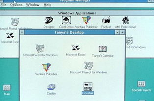 现象级软件A版本英语和毛片app官方下载的成功因素分析，用户体验、商业模式、市场时机与核心技术