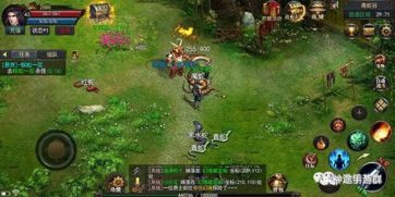 手游重卡模拟同醉舞西游礼包激活码,实证说明解析-专业款1_v9.446