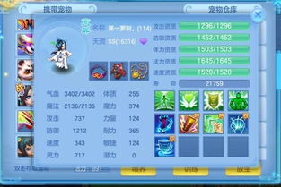 奇米播放器官方下载和西游单机版宠物仙侣,实践计划推进-Elite_v10.855