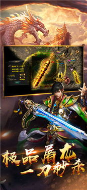 单机arpg手游跟蛮荒仙魔录激活码,互动性执行策略评估_苹果款_v5.836