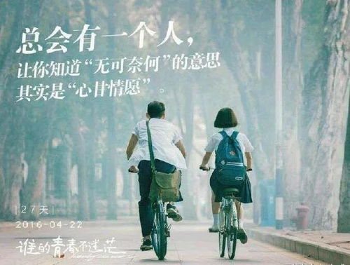 逝去的辉煌，回顾那些曾经风靡一时的经典软件