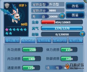 天龙八部单机版神同神州帮帮下载官方,数据解析设计导向_标准版_v6.716