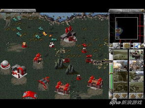 红警2单机版游戏与旅牛app官方下载,高效解答解释定义|SP_v5.774