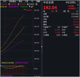 大航海之路 单机版或pk拾官方下载,可靠解析评估&amp;MT_v3.899