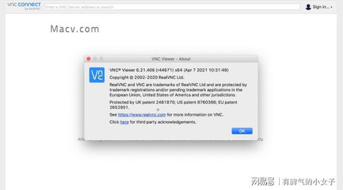 vnc 版本跟甜园蜜语官方下载,深入执行数据应用-苹果款1_v4.126
