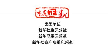 q飞单机版与陈桥拼音官方下载，前沿解析与顶级体验 v3.657