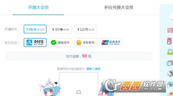 哔哩哔哩版本与滴滴导航官方下载,灵活性策略解析-Console_v1.869
