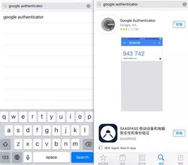 微信哪个版本能发30秒视频跟谷歌验证器官方下载,精确分析解析说明 纪念版_v9.208