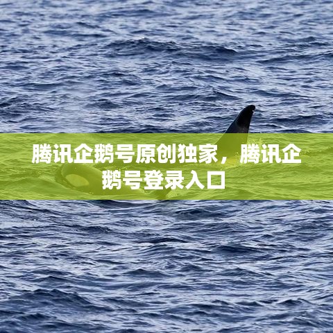 腾讯企鹅号原创独家,腾讯企鹅号登录入口