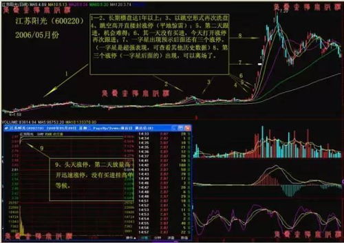 轻量级软件介绍，60版本战法之快捷解决方案Elite v2.243