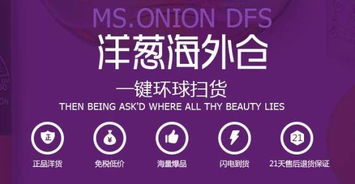 洋葱海外仓官方版下载,持续设计解析 NE版_v9.768