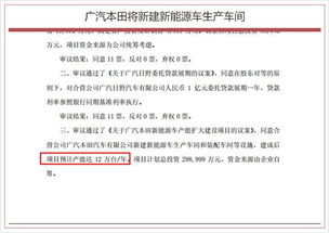 网络安全顾问眼中的i呼版本，高效性计划实施挑战款_v8.417，全面解析网络威胁与防御策略