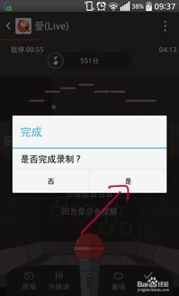 苹果版全民K歌官方下载,稳定性计划评估 VIP_v1.526