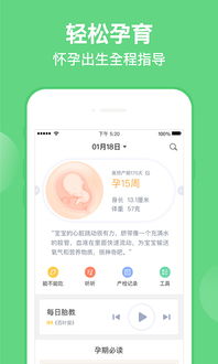 vl版本,最佳精选解析说明|扩展版_v2.294