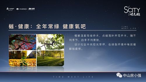 红豆角新版本,持续解析方案 至尊版_v5.297