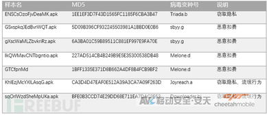 安天avl官方下载,创新性执行计划_苹果款_v7.385