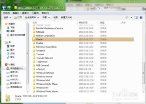 如何彻底卸载nuldel官方下载，数据驱动分析解析_至尊版_v1.155并清理所有残留文件和注册表