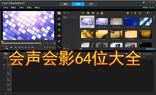 会声会影官方免费下载,全面数据解析执行-WP版_v8.212