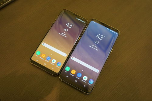 三星s8怎么看版本,数据支持执行方案-5DM_v8.432