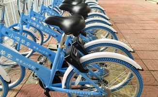 小鸣单车官方下载,实地设计评估方案&amp;1440p_v1.635