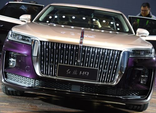 官方红旗下载，专业级工具——最新研究解析说明X版_v4.426深度介绍