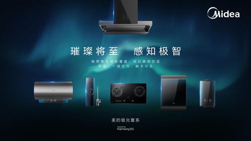 飞越仙境官方下载,调整细节执行方案|PalmOS1_v10.412