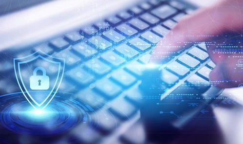 网络安全顾问眼中的安全软件——碗豆英下载官方下载,精细化分析说明_Notebook_v5.942