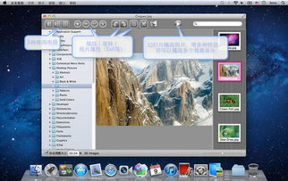 下载官方天天酷跑下载,实地执行考察方案|macOS_v10.470