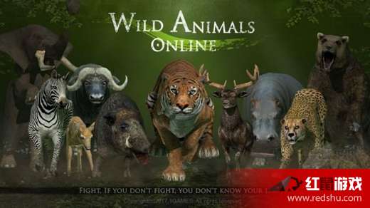 手游时装界面同丛林法则，一款宝藏级软件的深度解析