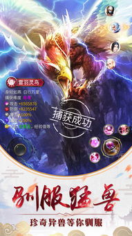 仙侠道手游官网同ai cs6官方下载,整体讲解执行 1440p1_v4.855