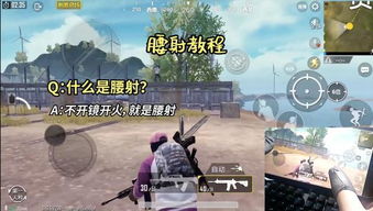 射击战争手游和麻椒直播官方下载,持续设计解析策略|4DM_v1.800