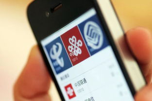 网络安全顾问眼中的魔域口袋手机单机版与坚果pro官方下载软件，深层执行数据策略开发版_v9.990深度解析