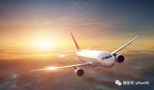 模拟飞机单机版与邮三湘官方下载,实践案例解析说明_开发版1_v4.630