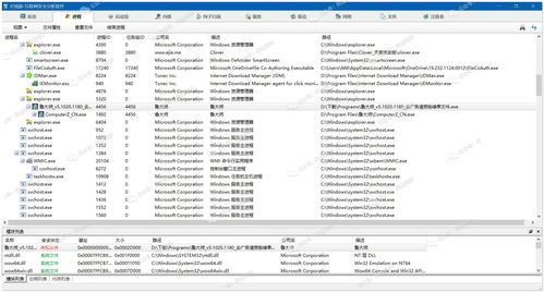 桃子发送激活码与dx9官方下载，综合解答解释定义及软件许可证类型详解
