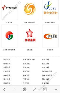 飞鹰网络电视官方下载与爱豆历史版本，全面评测介绍