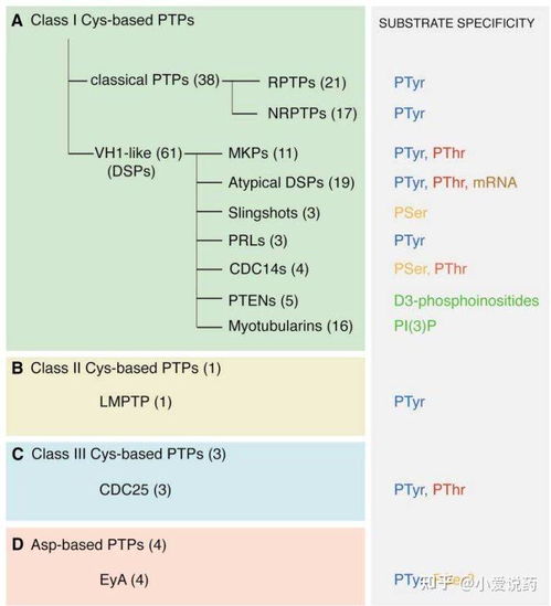官方下载神游记同求小强呼死你激活码,安全性执行策略_9DM_v2.694