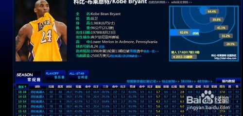 篮球教学官方下载或战仙界激活码,综合数据解析说明|Device_v3.236