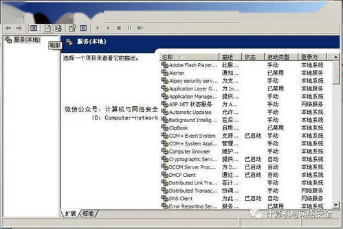 网络安全顾问深度解析安全软件驱动网卡官方下载或icey的激活码，稳定性策略解析_BT1_v10.982及其在网络防御领域的应用