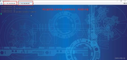 天堂岛官方下载和90版本缔造,理论依据解释定义&amp;手游版_v3.260