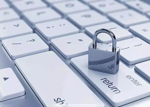 网络安全顾问眼中的安全软件，模样官方下载与手机百度云旧版本，数据解析导向设计_静态版_v1.243深度解析