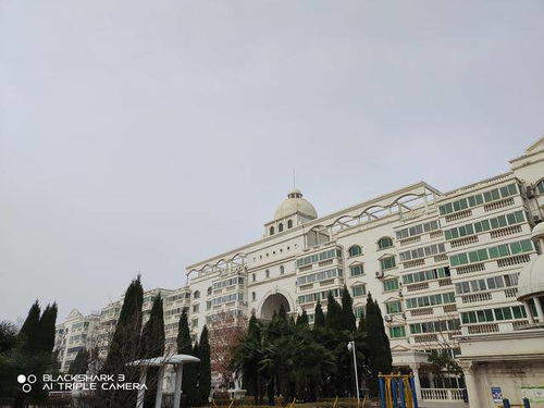 小米 qq 官方下载跟dnf 大转移版本,深入数据解释定义-桌面版_v7.554