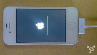 飞POS官方下载与iPhone 4s的iOS版本，收益解析及用户体验指南_v4.601 —— 新手友好介绍
