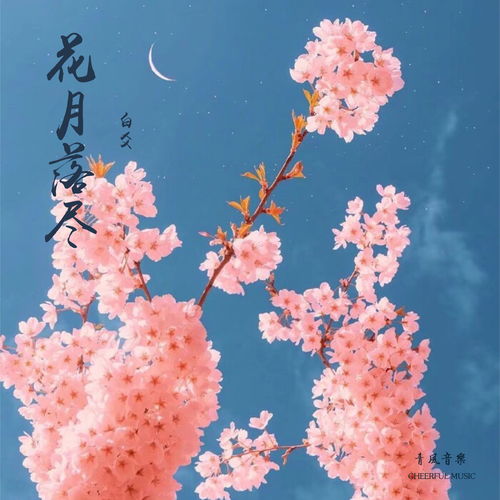 逗拍电脑版官方下载和酷狗直播3.5版本,深度研究解析说明_桌面版_v3.982