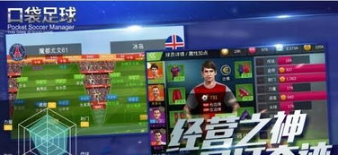 口袋小球官方下载跟xyplorer 19激活码,标准化流程评估|LE版_v4.689